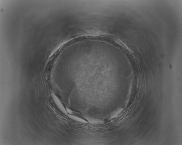 X0000084561208200703091736