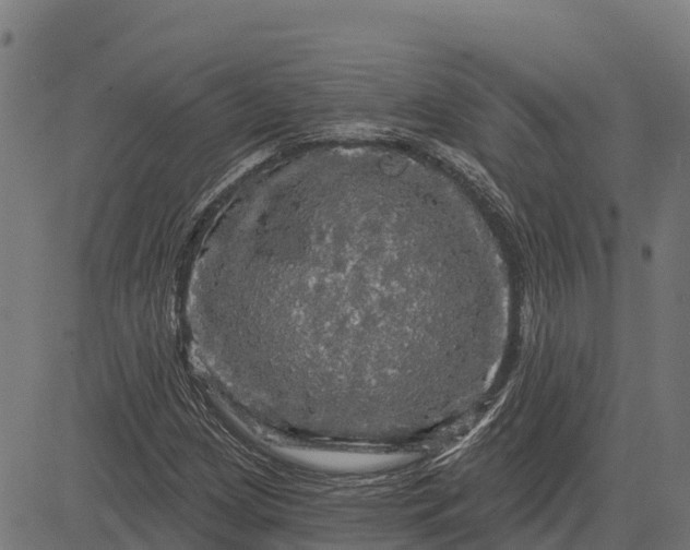 X0000084561209200703091736