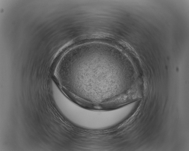 X0000084561210200703091736