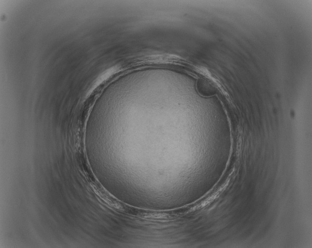 X0000084561211200703091736