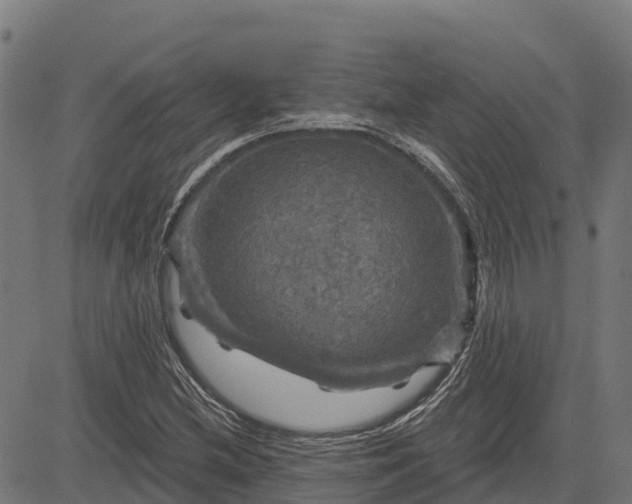 X0000084561212200703091736