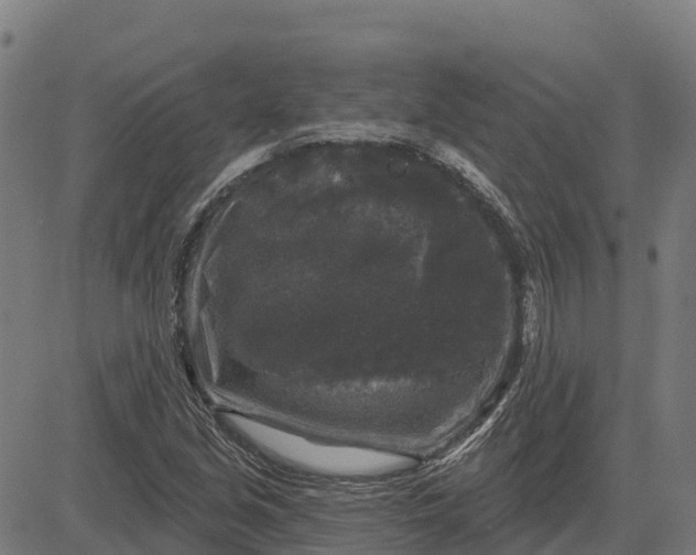 X0000084561213200703091736