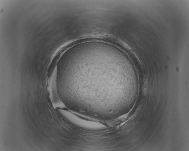 X0000084561214200703091736