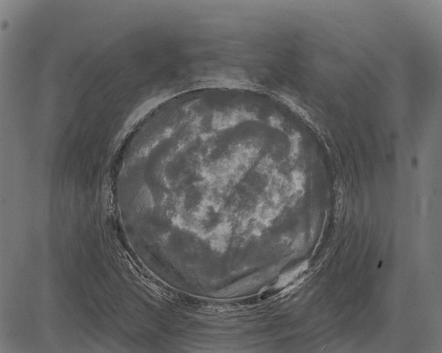 X0000084561215200703091736