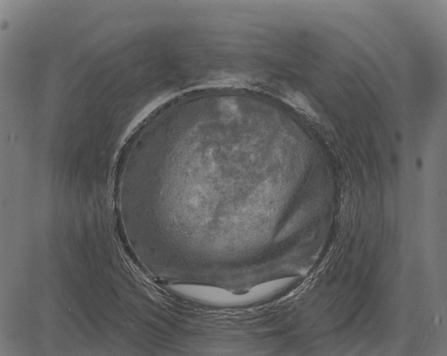 X0000084561216200703091736