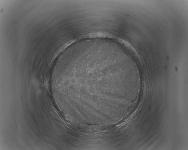 X0000084561217200703091736