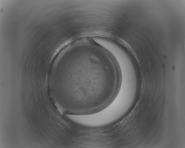 X0000084561218200703091736