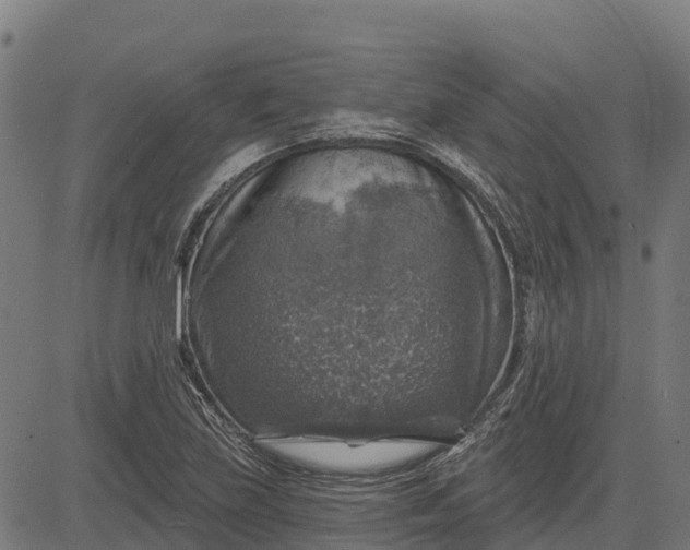 X0000084561219200703091736