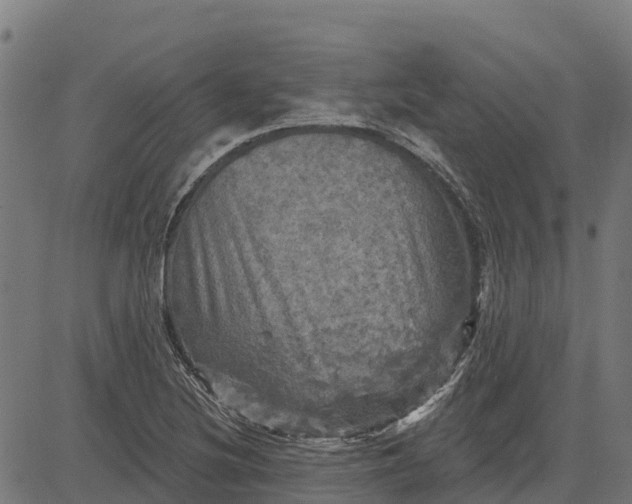 X0000084561220200703091736