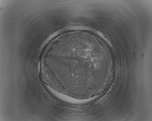 X0000084561221200703091736