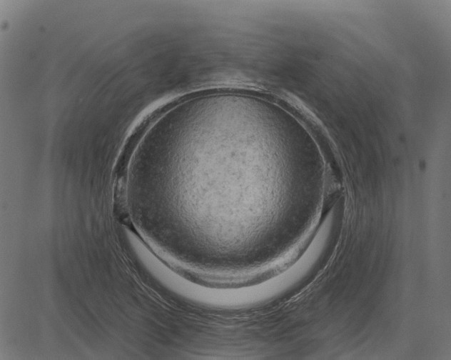 X0000084561222200703091736