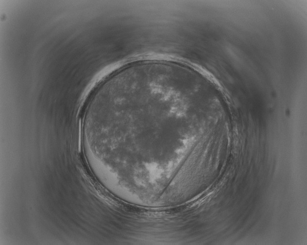 X0000084561223200703091736