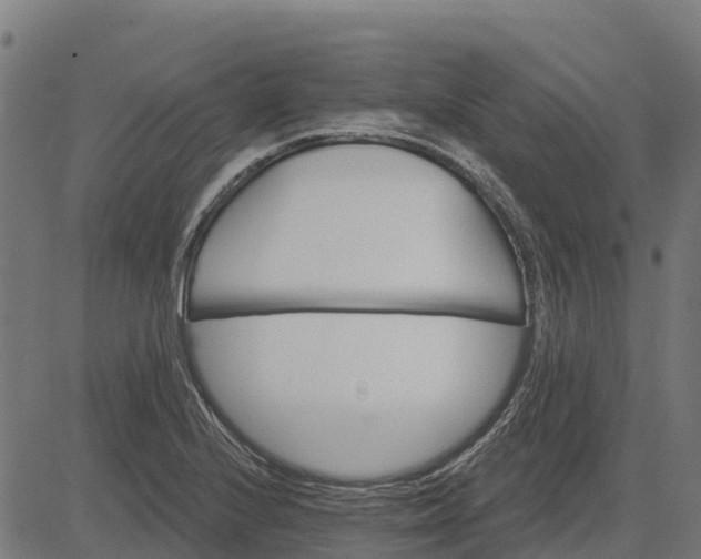 X0000084561224200703091736