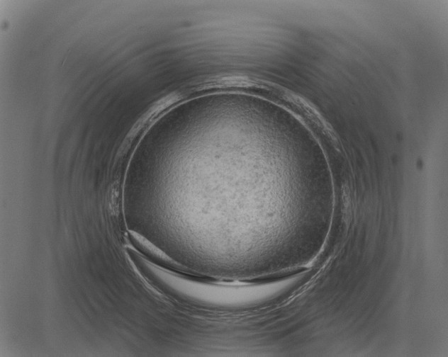 X0000084561225200703091737