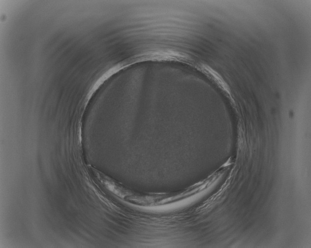 X0000084561226200703091737