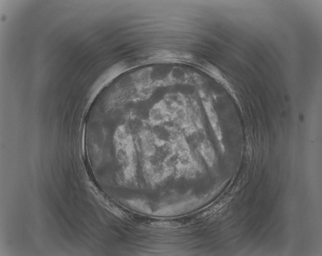 X0000084561227200703091737