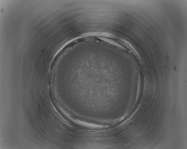 X0000084561228200703091737