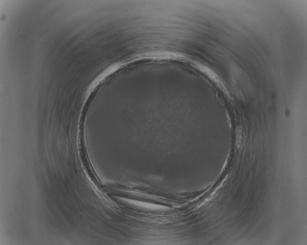 X0000084561229200703091737