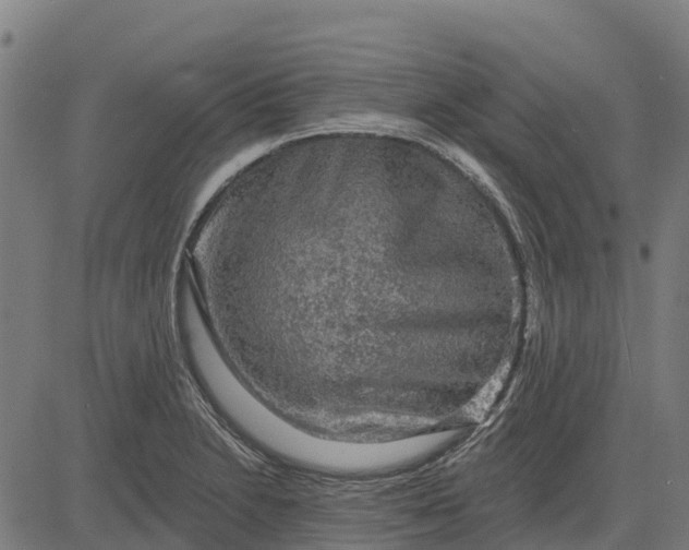 X0000084561230200703091737