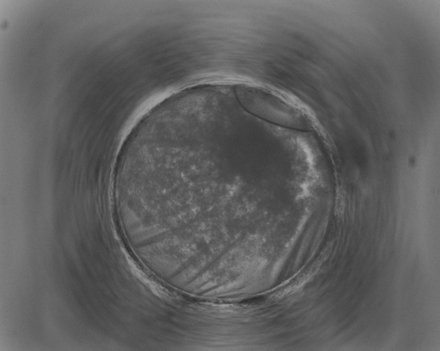 X0000084561231200703091737