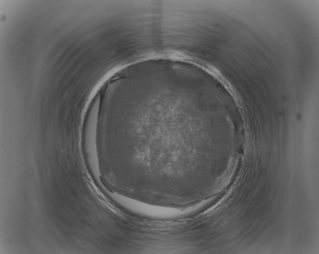 X0000084561232200703091737