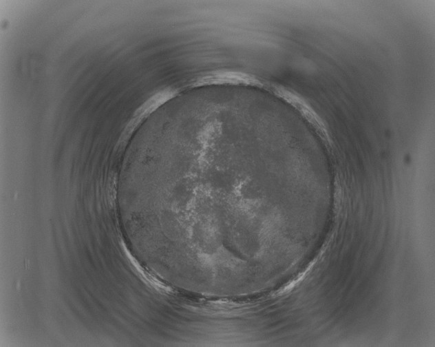 X0000084561233200703091737