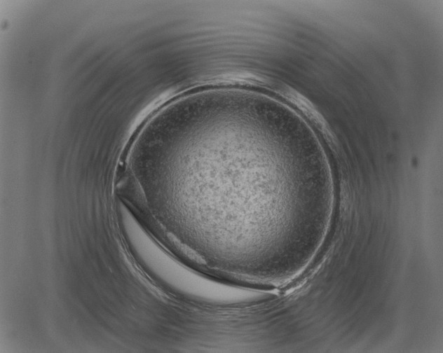 X0000084561234200703091737