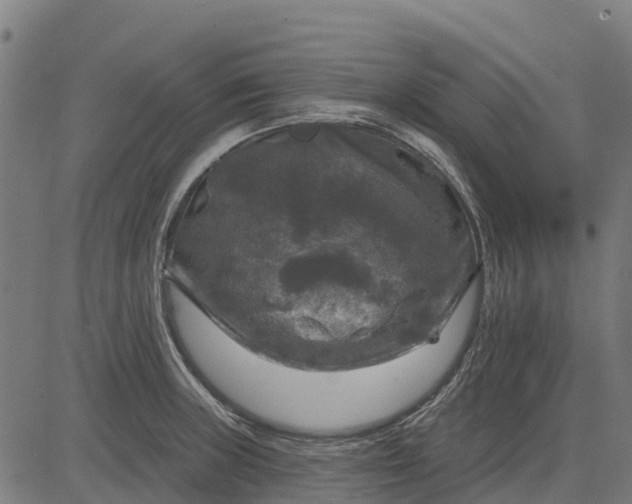 X0000084561235200703091737