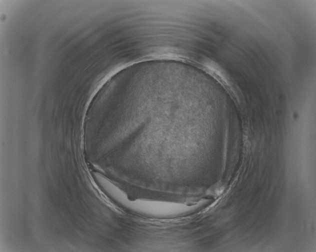 X0000084561236200703091737