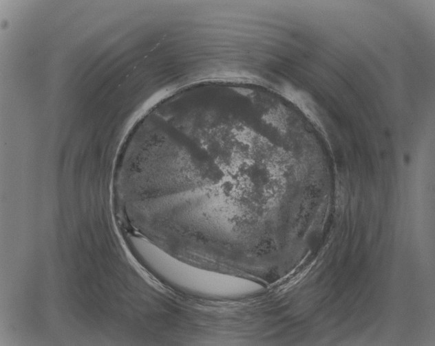 X0000084561237200703091737