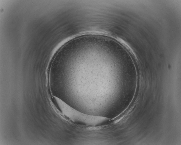 X0000084561238200703091737