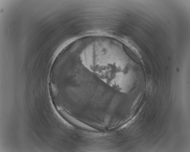 X0000084561239200703091737