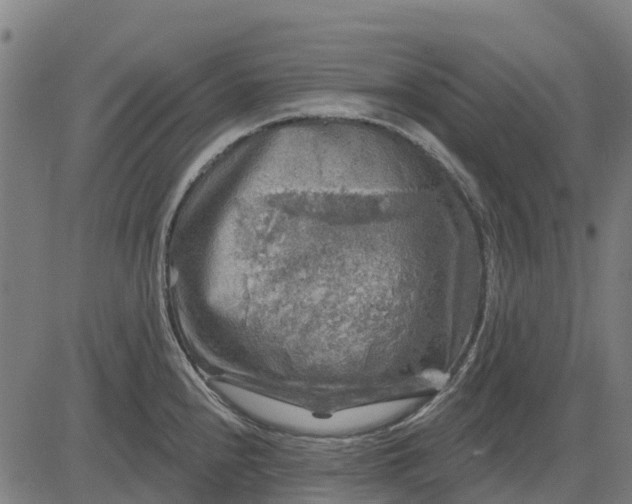 X0000084561240200703091737