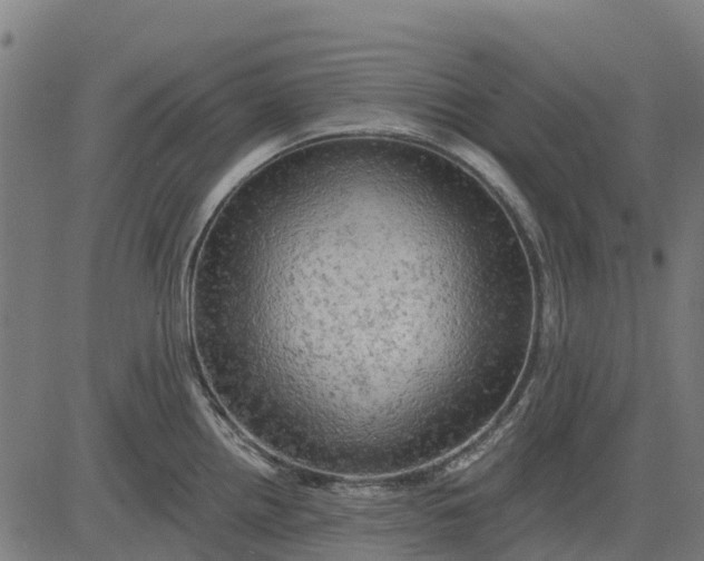 X0000084561242200703091737