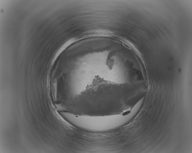 X0000084561243200703091737