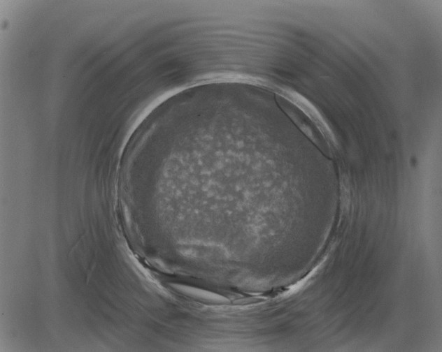 X0000084561244200703091737