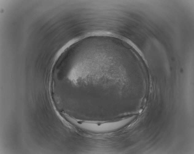 X0000084561245200703091737