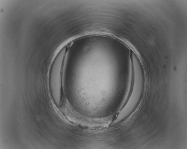 X0000084561246200703091737