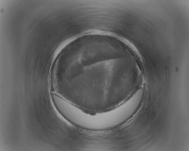 X0000084561247200703091737