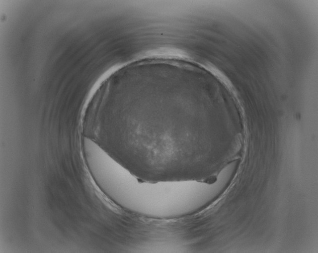 X0000084561248200703091737