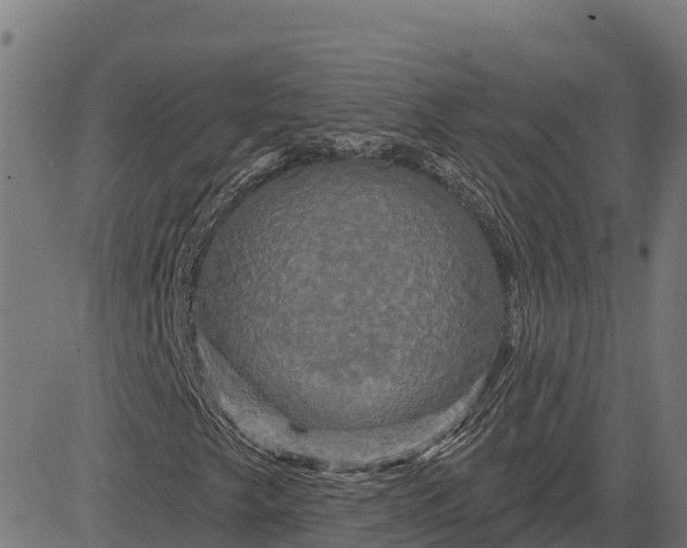 X0000084561249200703091736