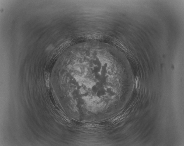 X0000084561251200703091736