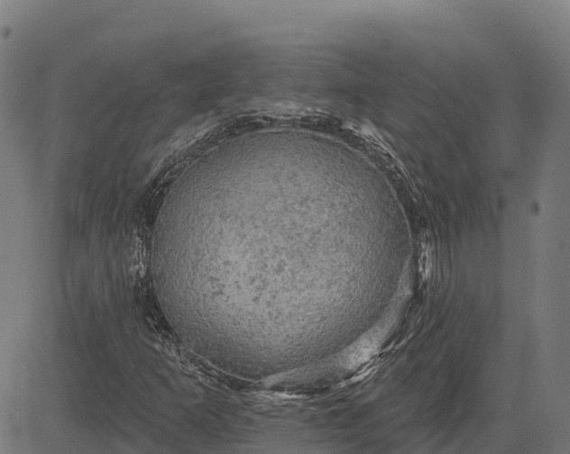 X0000084561253200703091736