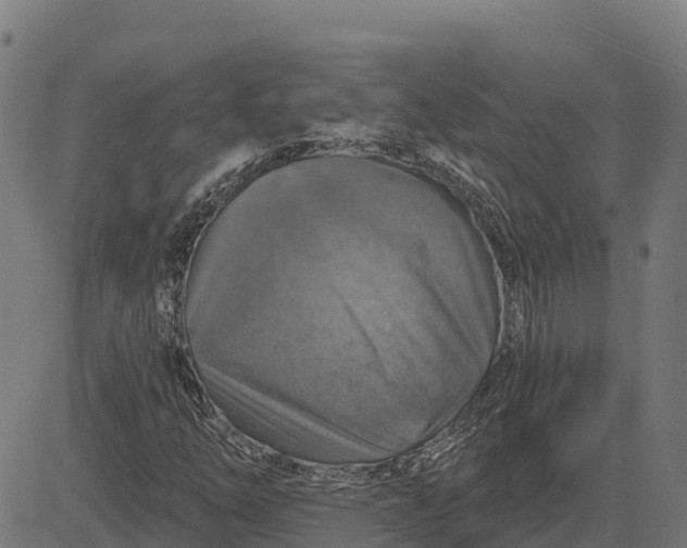 X0000084561254200703091736