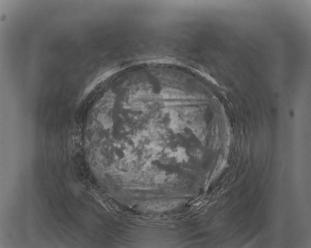 X0000084561255200703091736