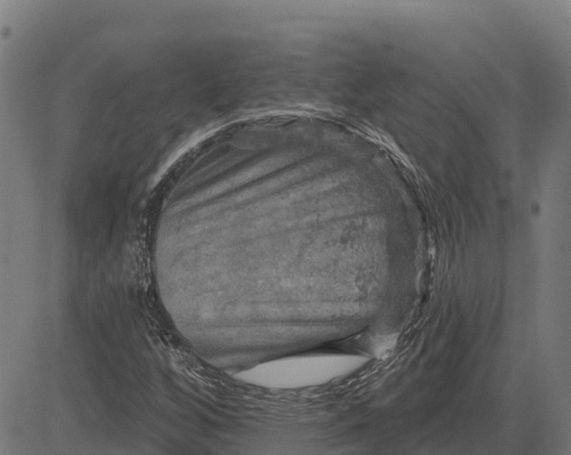 X0000084561256200703091736