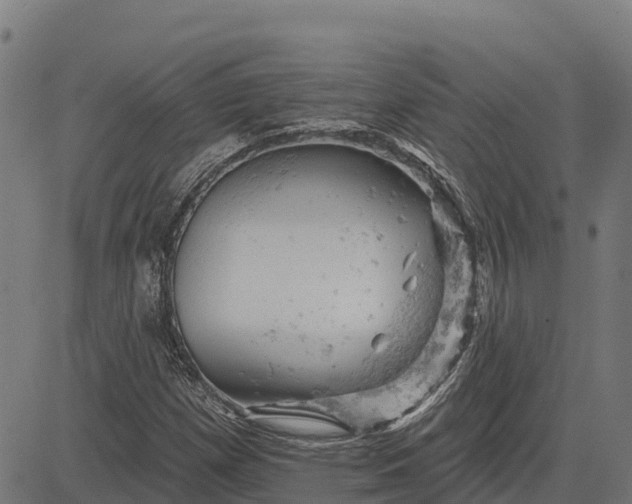 X0000084561257200703091736