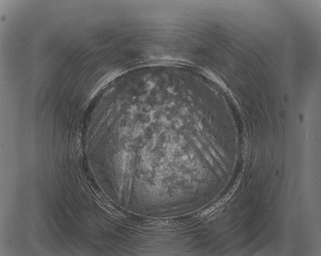 X0000084561259200703091736