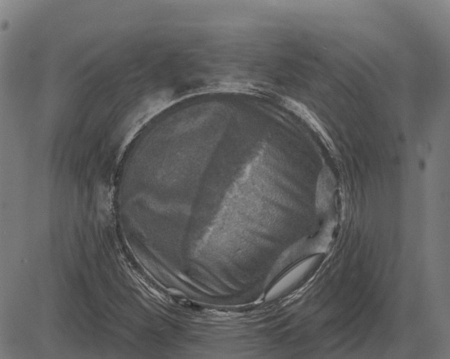 X0000084561260200703091736