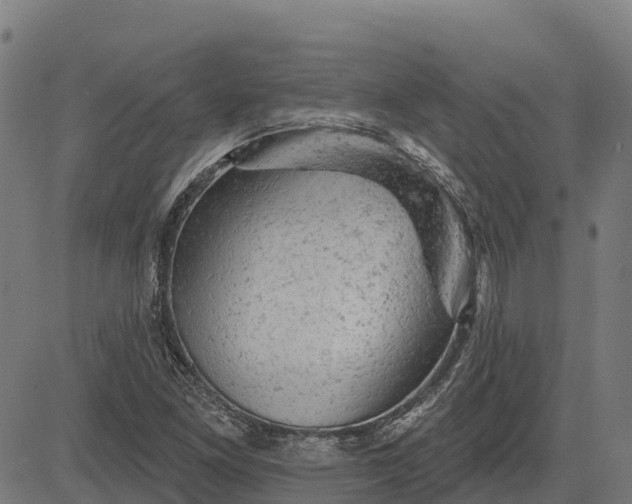 X0000084561261200703091736